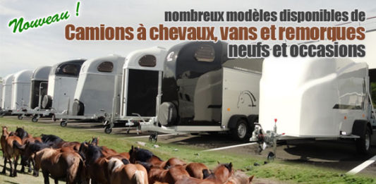 camions-vans-chevaux-remorques-pub-starterre